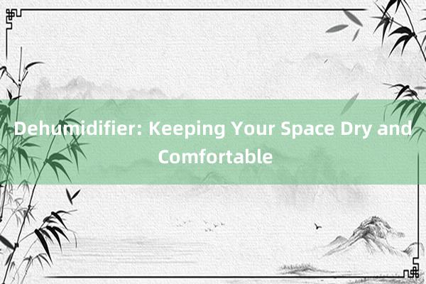 Dehumidifier: Keeping Your Space Dry and Comfortable